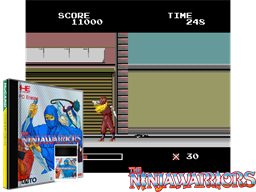 The Ninja Warriors
